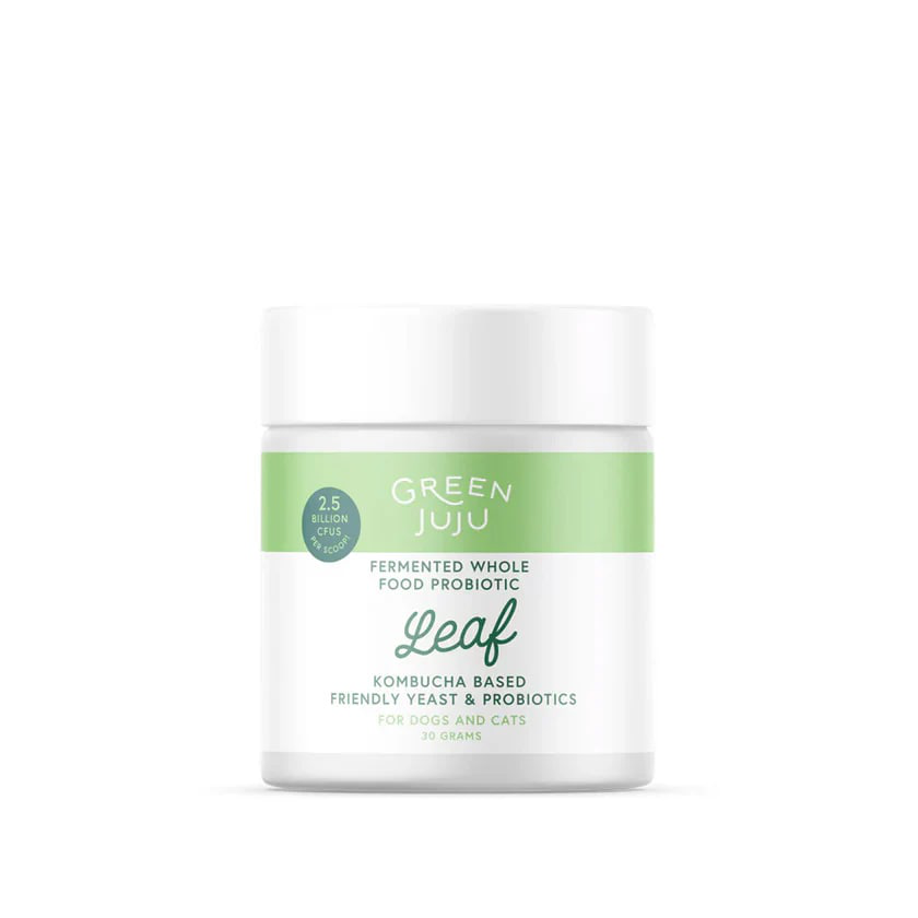 Green Juju Leaf | Fermented Kombucha Pre & Probiotics Gut Support | Holistic Healthcare for Dogs & Cats