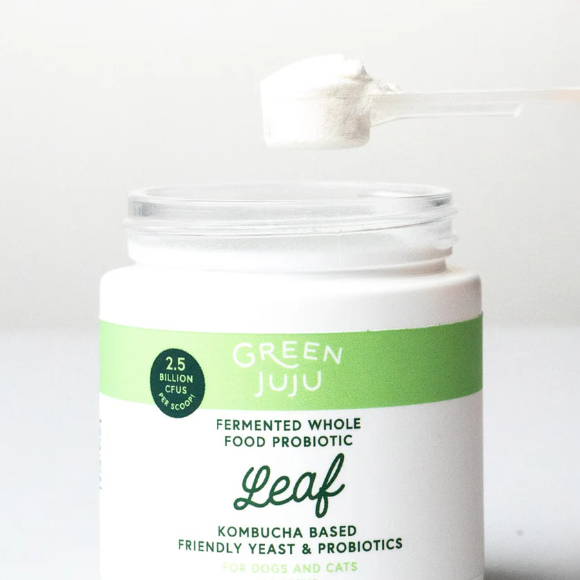 Green Juju Leaf | Fermented Kombucha Pre & Probiotics Gut Support | Holistic Healthcare for Dogs & Cats
