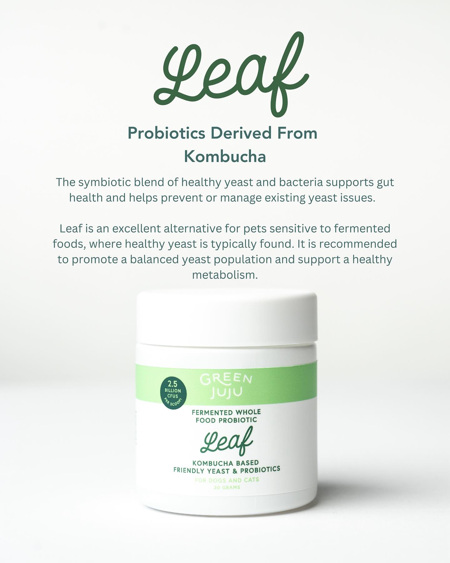 Green Juju Leaf (30g) Kombucha SCOBY Probiotic Gut Digestive Yeast Balance Support for Dogs and Cats