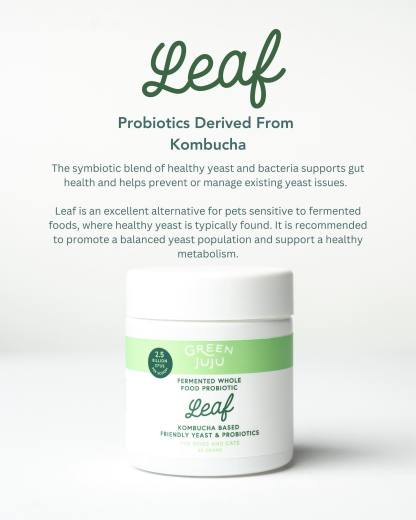 Green Juju Leaf (30g) Kombucha SCOBY Probiotic Gut Digestive Yeast Balance Support for Dogs and Cats