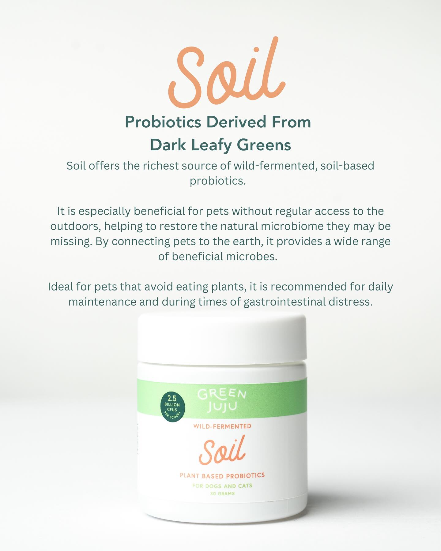 Green Juju Soil (30g) Wild Fermented Plant Probiotic Gut Immune Microbiome Support for Dogs and Cats