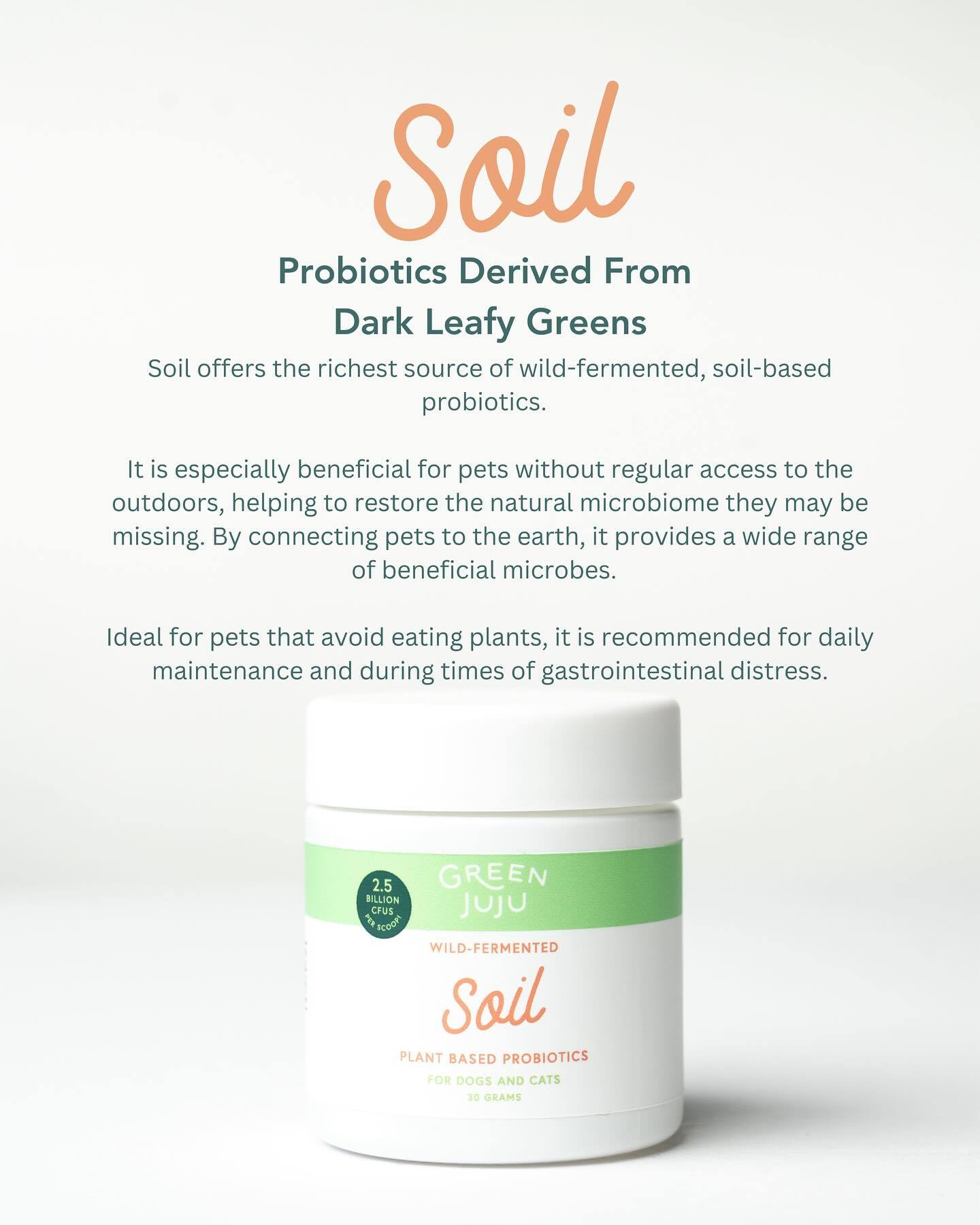 Green Juju Soil (30g) Wild Fermented Plant Probiotic Gut Immune Microbiome Support for Dogs and Cats