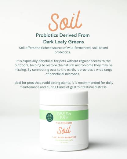 Green Juju Soil (30g) Wild Fermented Plant Probiotic Gut Immune Microbiome Support for Dogs and Cats