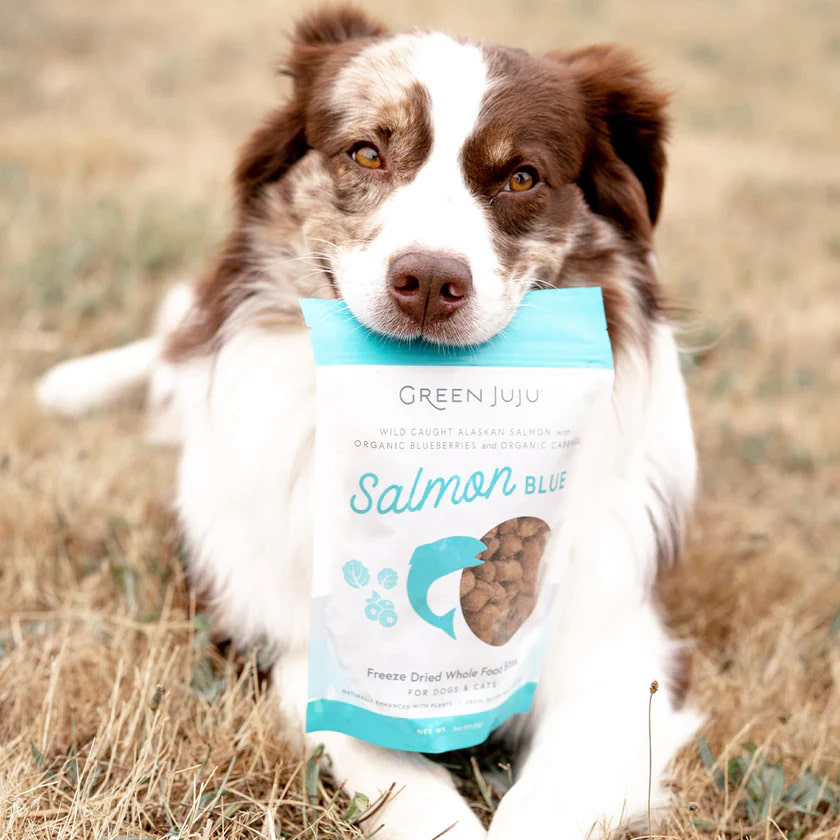 Green Juju Salmon Blue (3oz & 7.5oz) Freeze Dried Omega 3 Skin Coat Support Meal Topper for Dogs and Cats