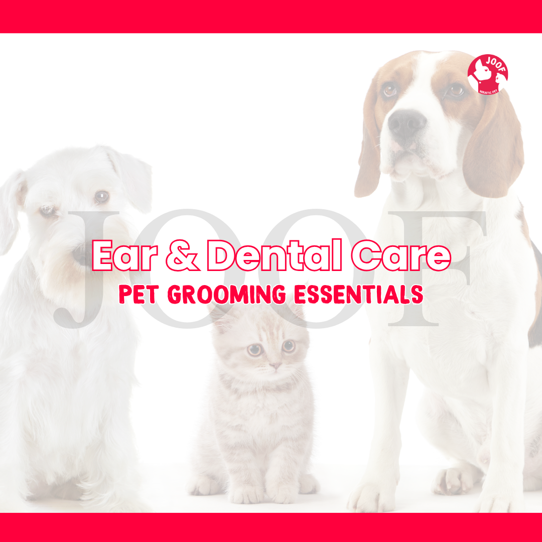 Ear & Dental Care