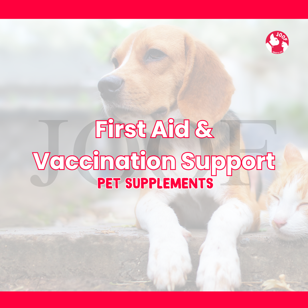 First Aid & Vaccination Support