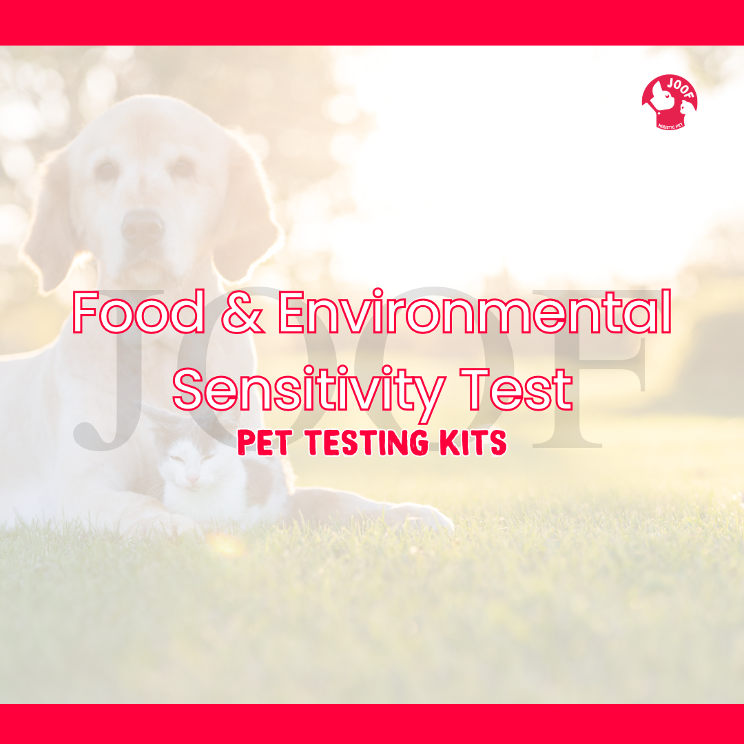 Food & Environmental Sensitivity Test