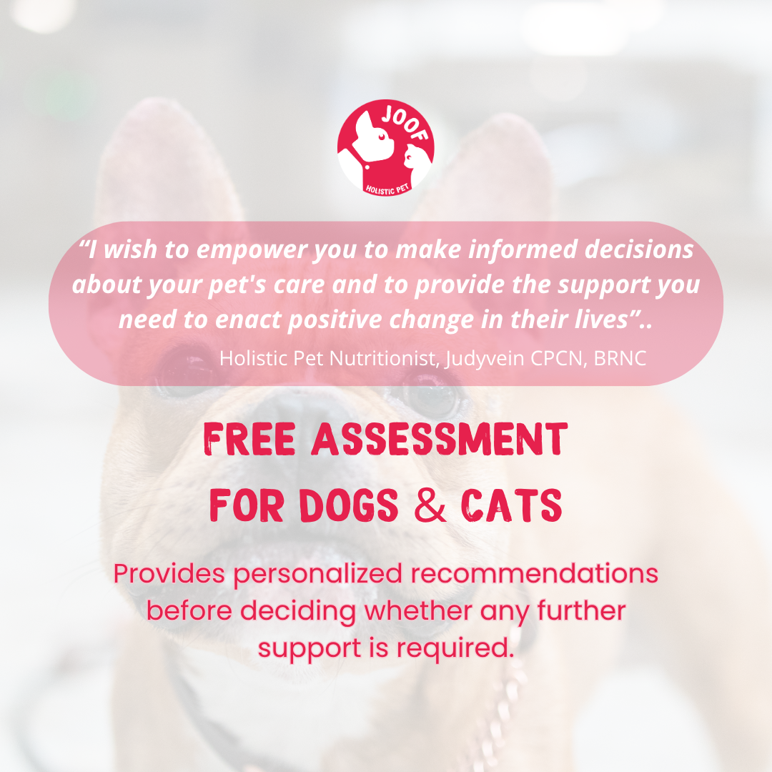 JOOF Free Assessment | Holistic Pet Care for Dogs & Cats