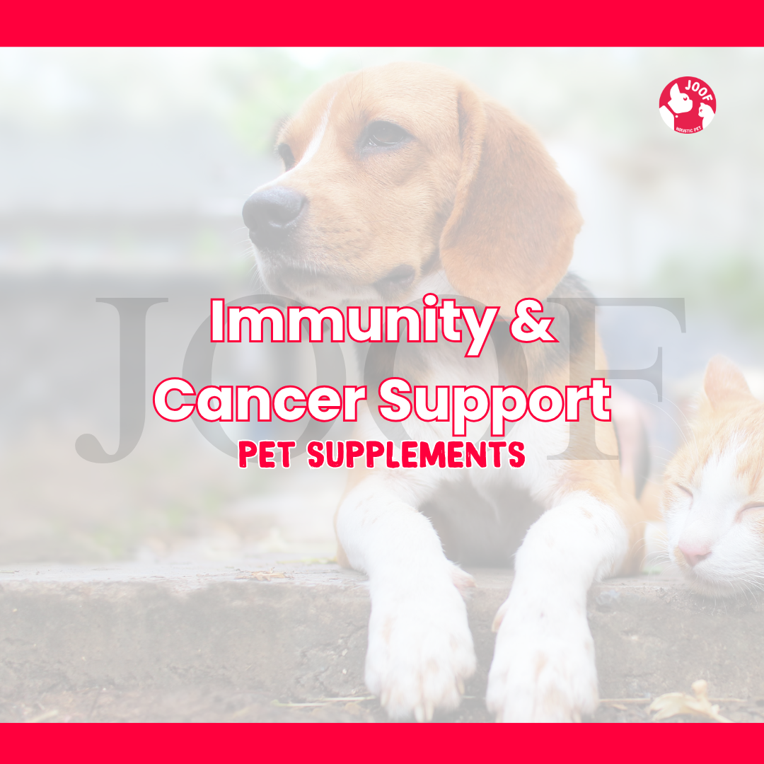 Immunity & Cancer Support