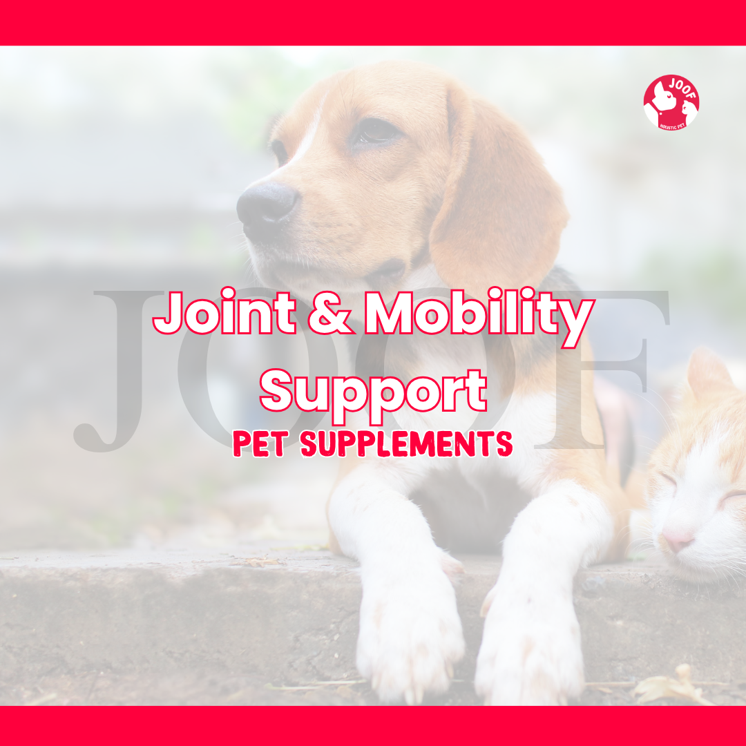 Joint & Mobility Support
