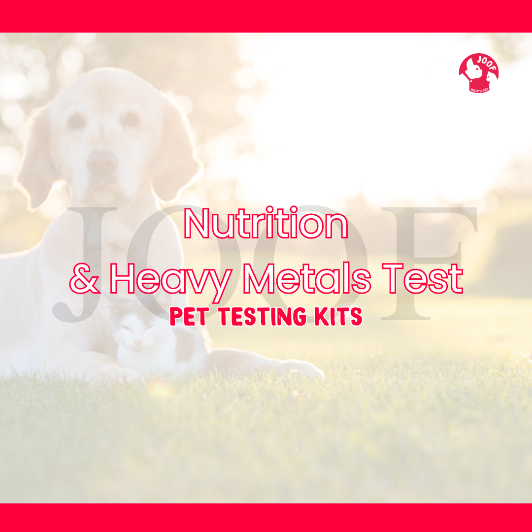 Nutrition & Heavy Metals Test