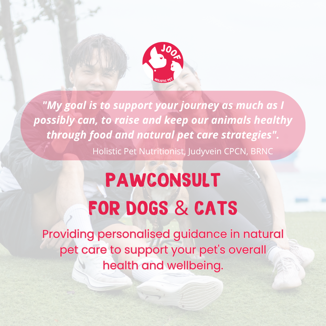 JOOF PawConsult | Personalised Holistic Dog & Cat Health Consultation