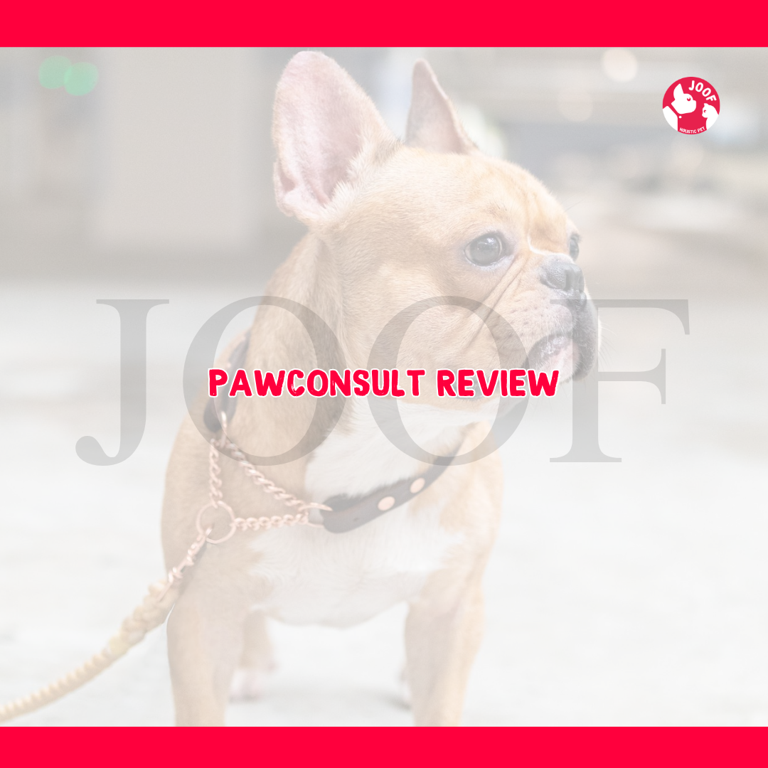 JOOF PawConsult Review | Dog & Cat Health Follow-Up Consultation