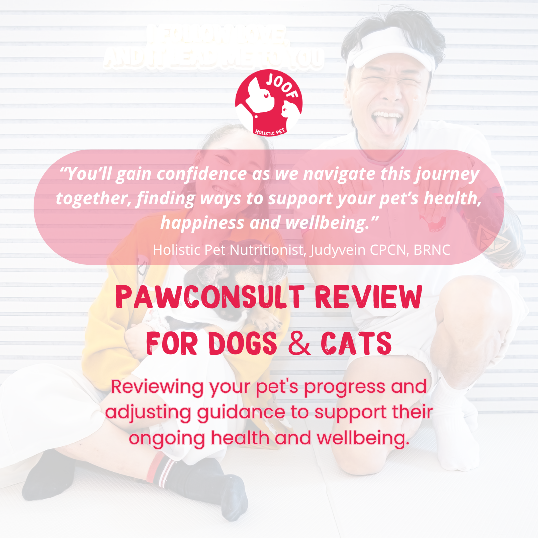 JOOF PawConsult Review | Dog & Cat Health Follow-Up Consultation