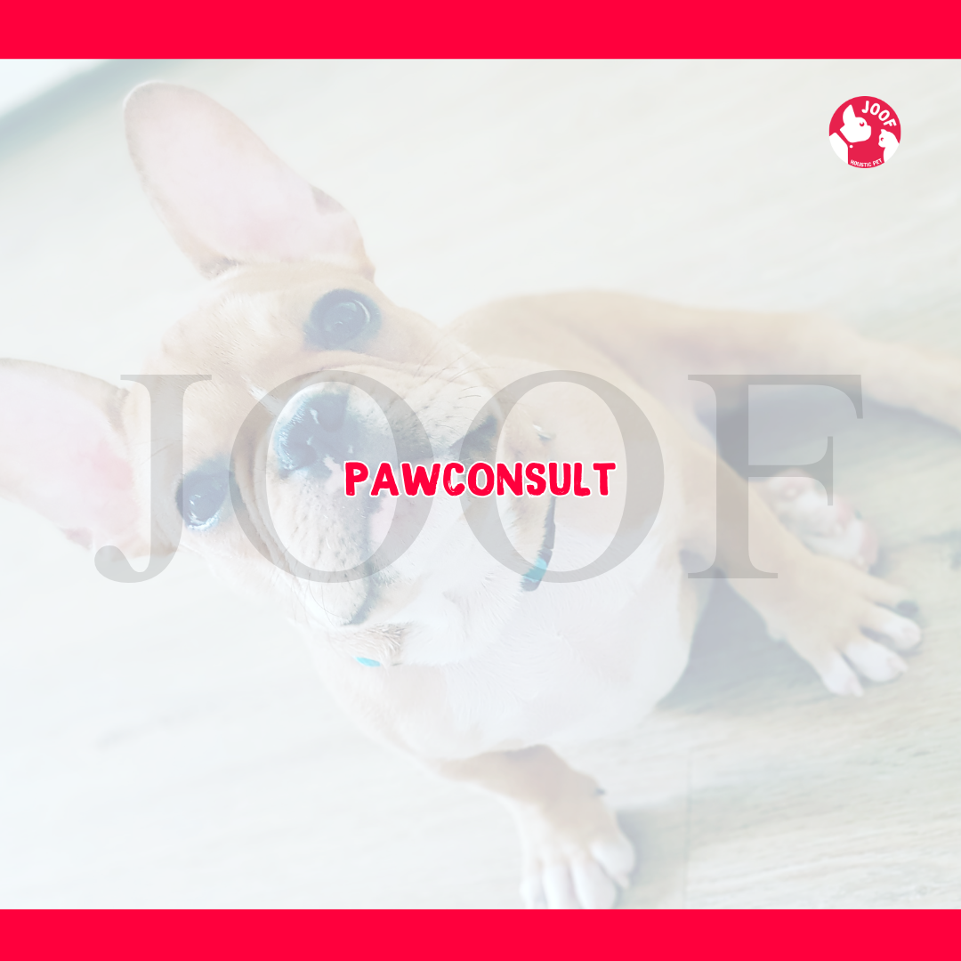 JOOF PawConsult | Personalised Holistic Pet Health Guidance