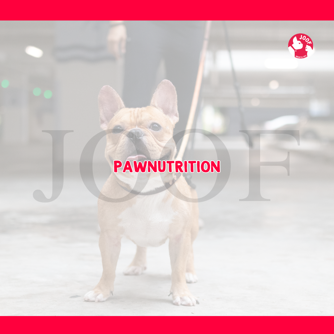 JOOF PawNutrition | Dog & Cat Nutritionist for Raw & Cooked Food