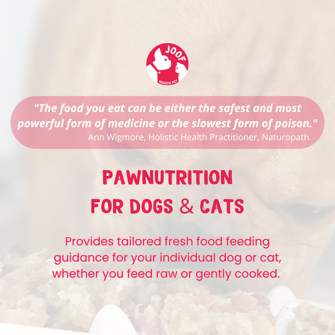 JOOF PawNutrition | Dog & Cat Nutritionist for Raw & Cooked Food