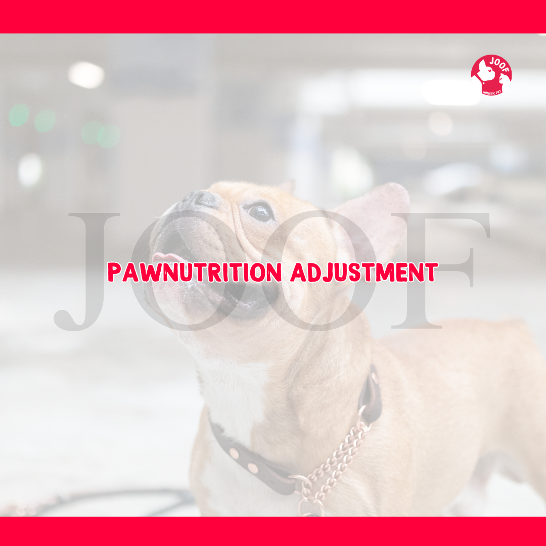 JOOF PawNutrition Adjustment | Personalised Feeding Plan Revisions for Dogs & Cats