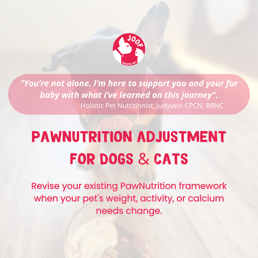 JOOF PawNutrition Adjustment | Personalised Feeding Plan Revisions for Dogs & Cats