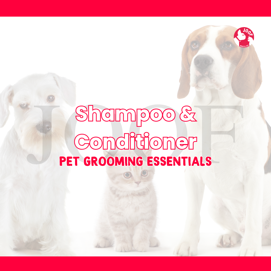 Shampoo & Conditioner