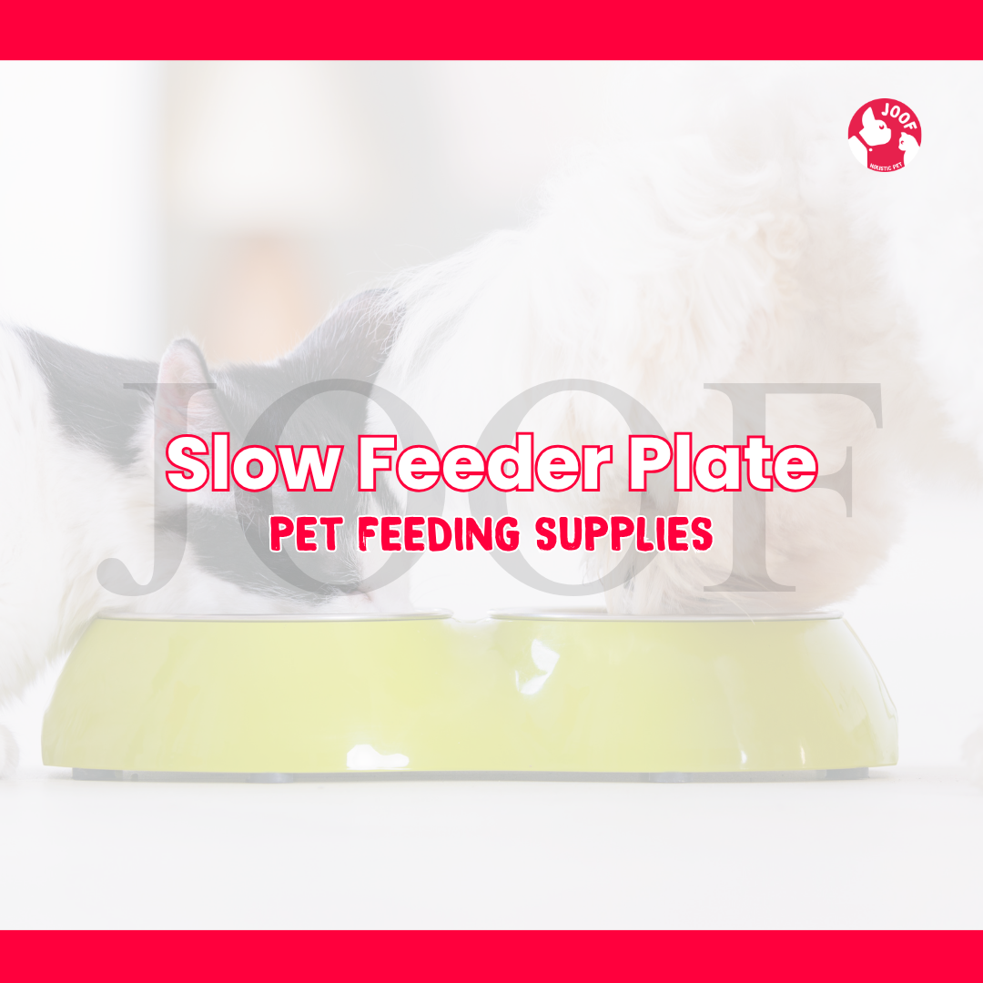 Slow Feeder Plate