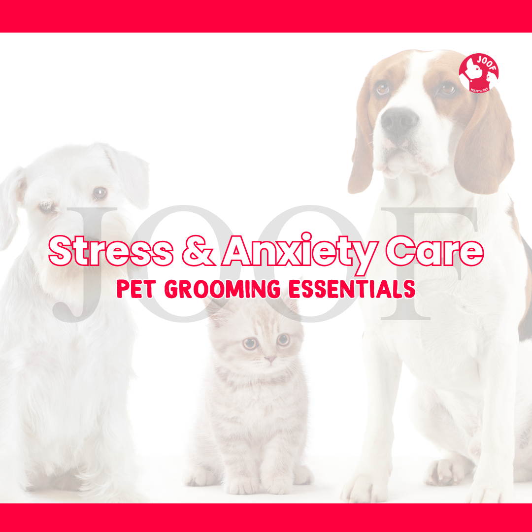 Stress & Anxiety Care