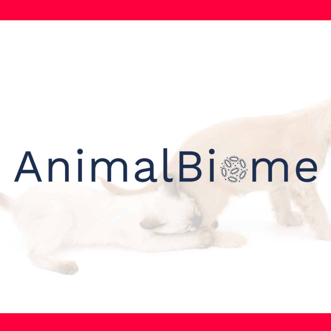 ANIMAL BIOME