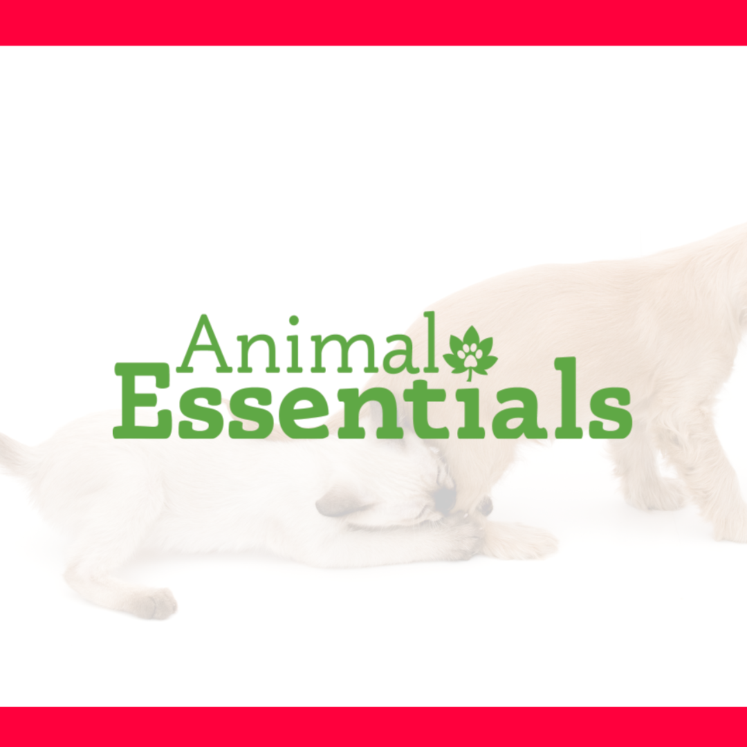 ANIMAL ESSENTIALS
