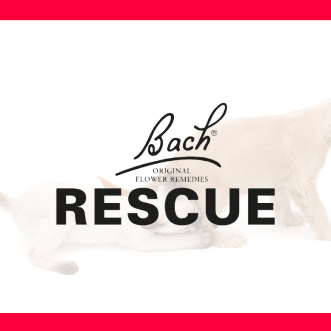 BACH RESCUE