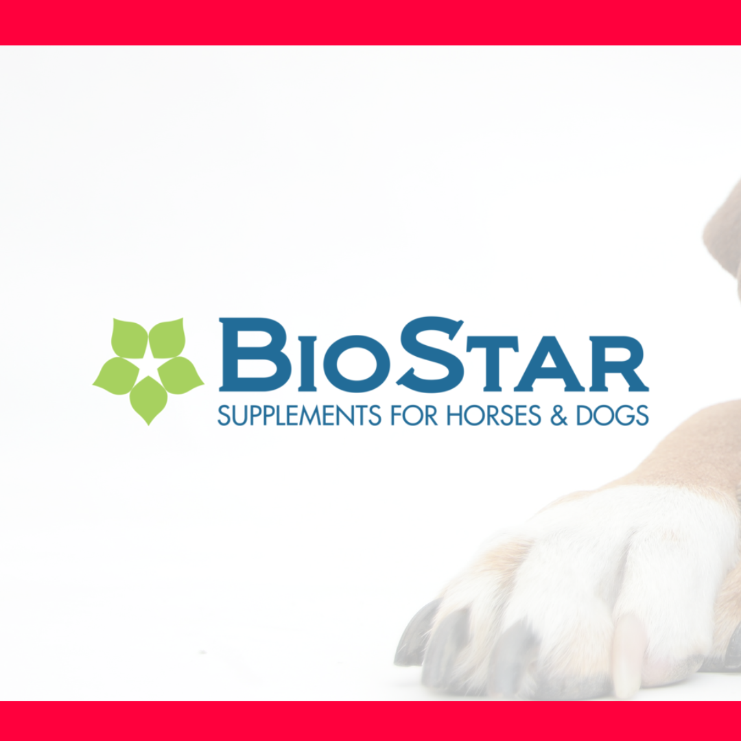 BIOSTAR K9