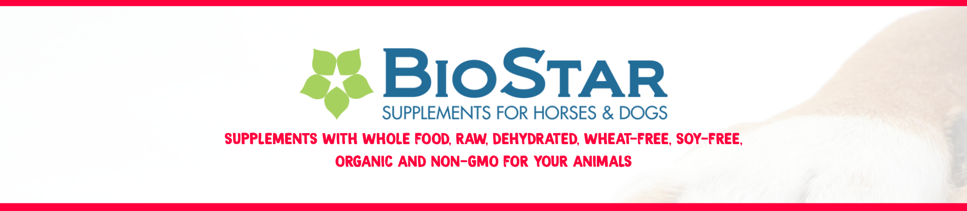 BIOSTAR K9