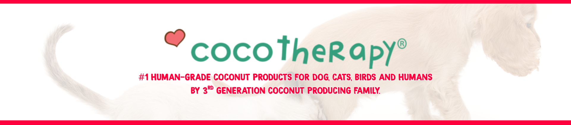 COCOTHERAPY