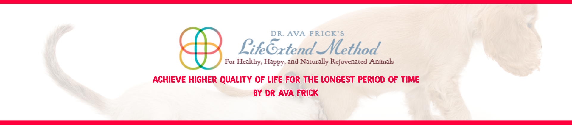 DR. AVA FRICK