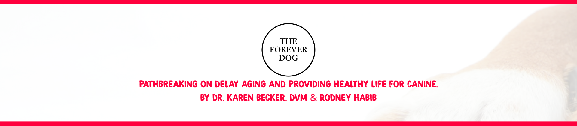 THE FOREVER DOG