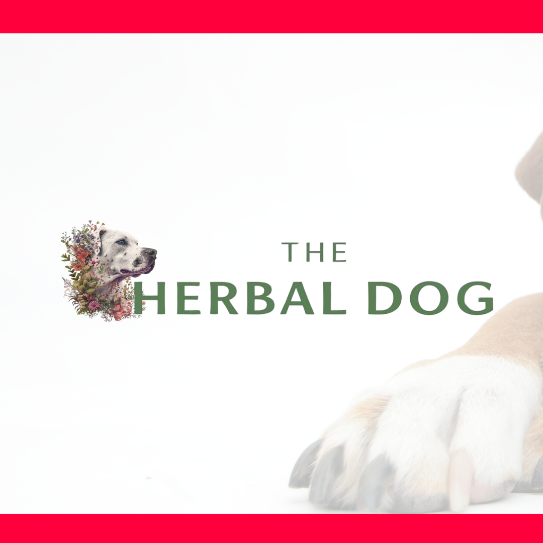 THE HERBAL DOG, RITA HOGAN