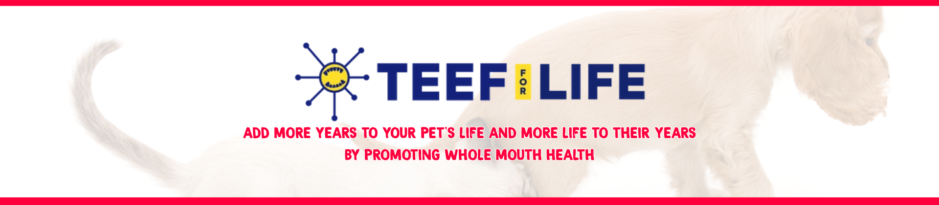 TEEF!