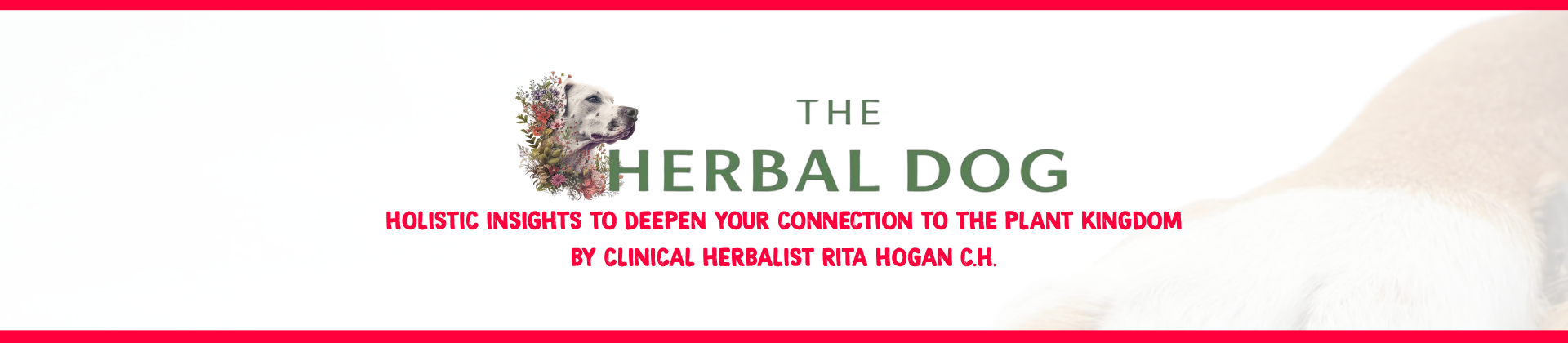 THE HERBAL DOG, RITA HOGAN