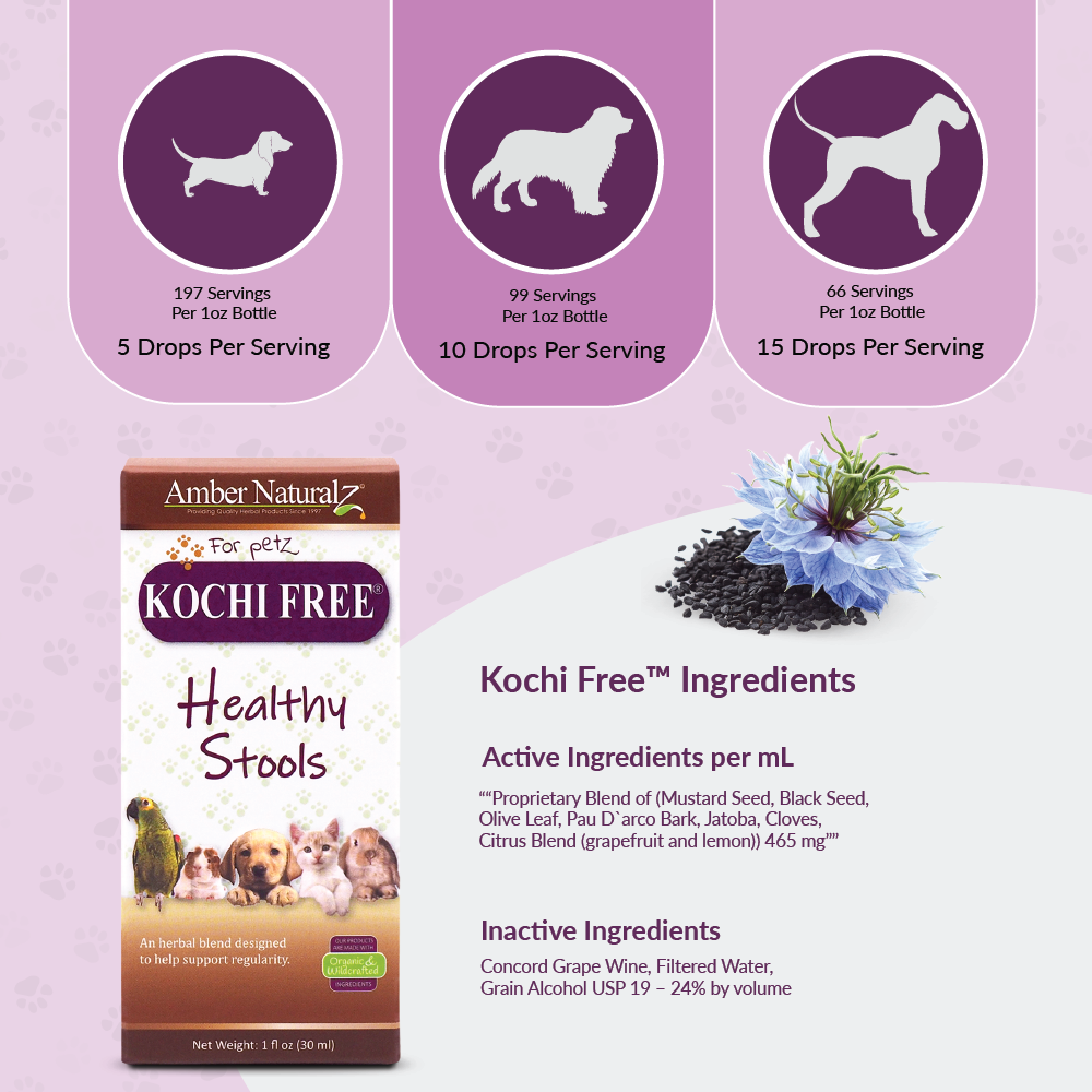 Amber Naturalz Kochi Free® | Giardia, Cryptosporidium, Parasites Support | Holistic Healthcare for Dogs and Cats