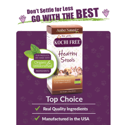 Amber Naturalz Kochi Free® | Giardia, Cryptosporidium, Parasites Support | Holistic Healthcare for Dogs and Cats