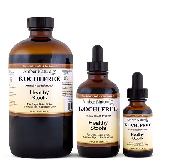 Amber Naturalz Kochi Free® | Giardia, Cryptosporidium, Parasites Support | Holistic Healthcare for Dogs and Cats