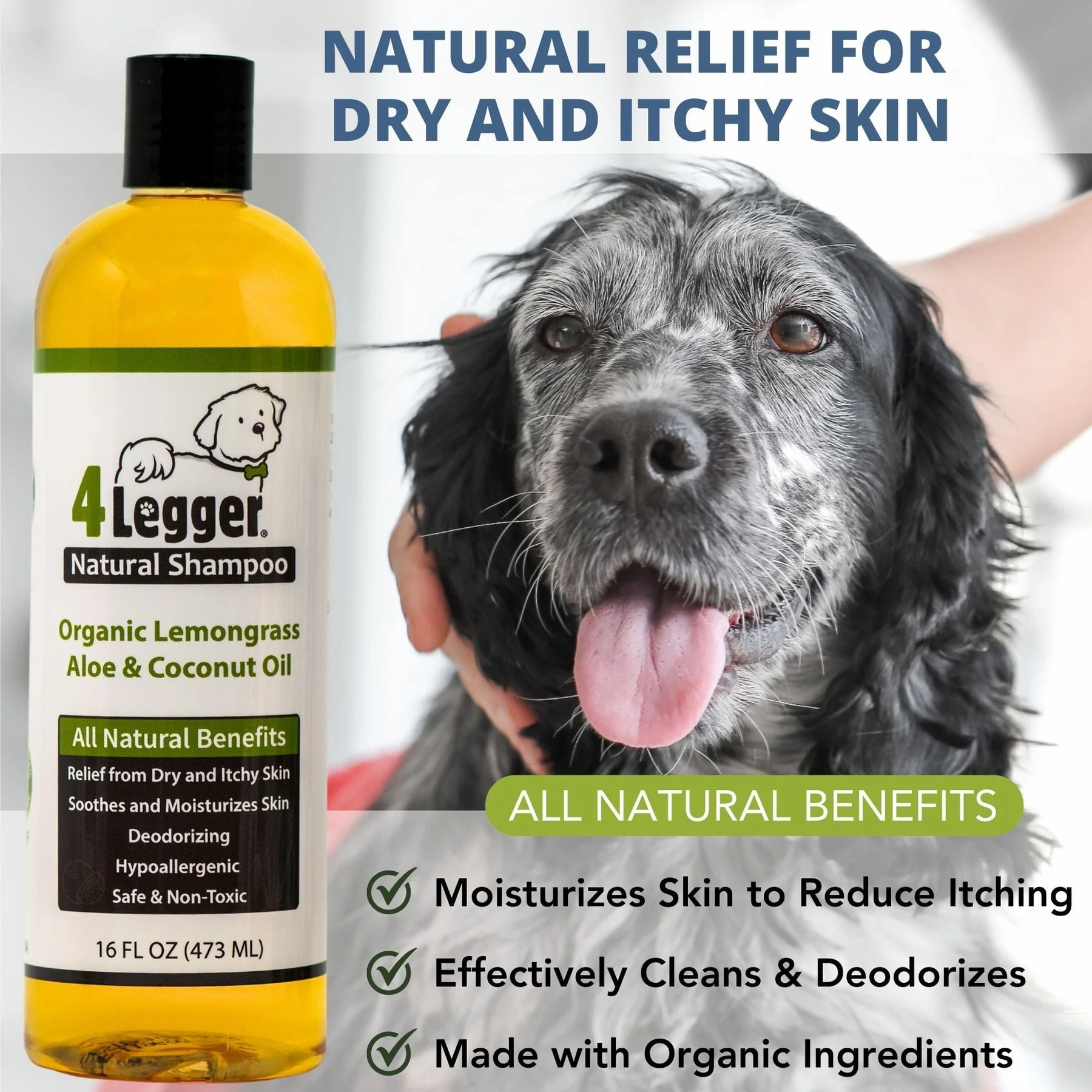 4Legger Lemongrass and Aloe Hypoallergenic Organic Food Standard Shampoo (16oz) | Dry, Dandruff Shampoo for Dogs and Cats