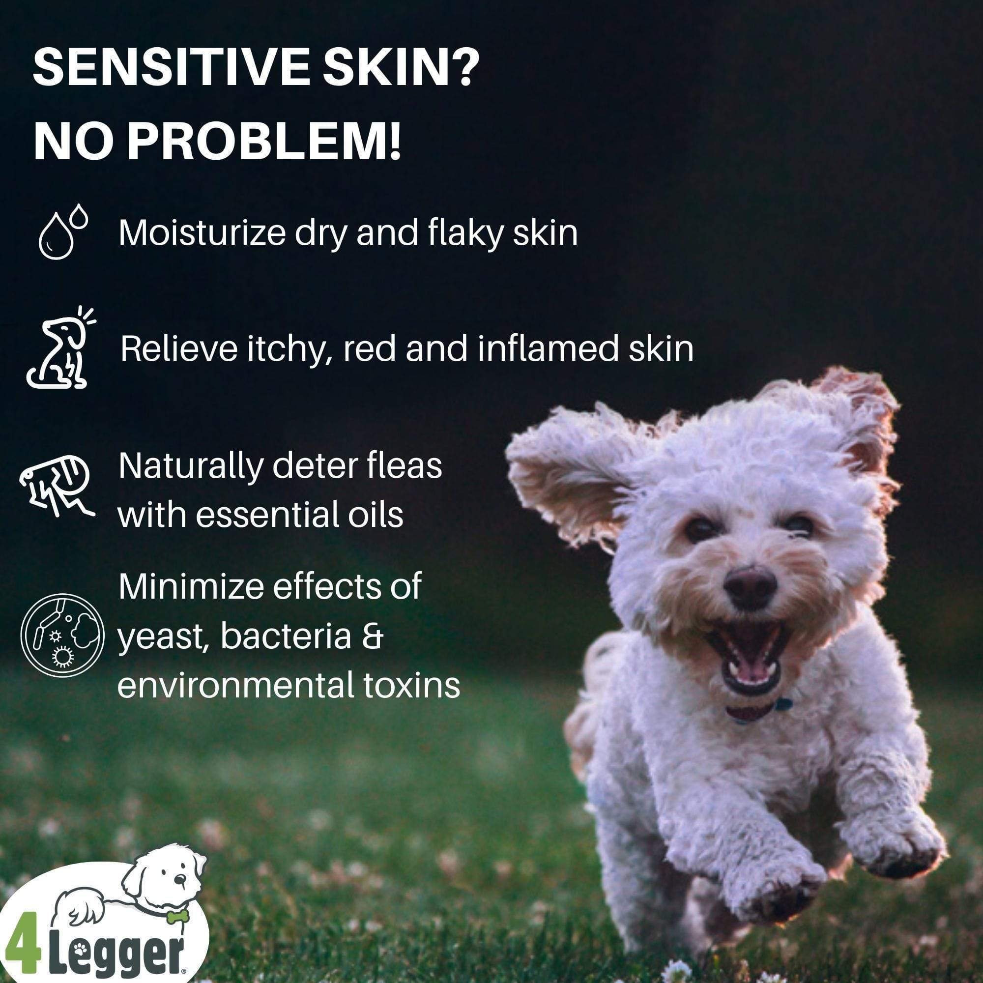 4Legger Lemongrass and Aloe Hypoallergenic Organic Food Standard Shampoo (16oz) | Dry, Dandruff Shampoo for Dogs and Cats