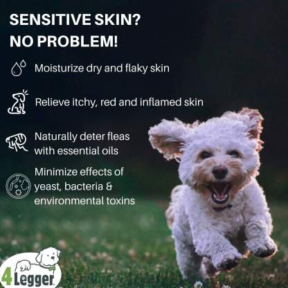 4Legger Lemongrass and Aloe Hypoallergenic Organic Food Standard Shampoo (16oz) | Dry, Dandruff Shampoo for Dogs and Cats