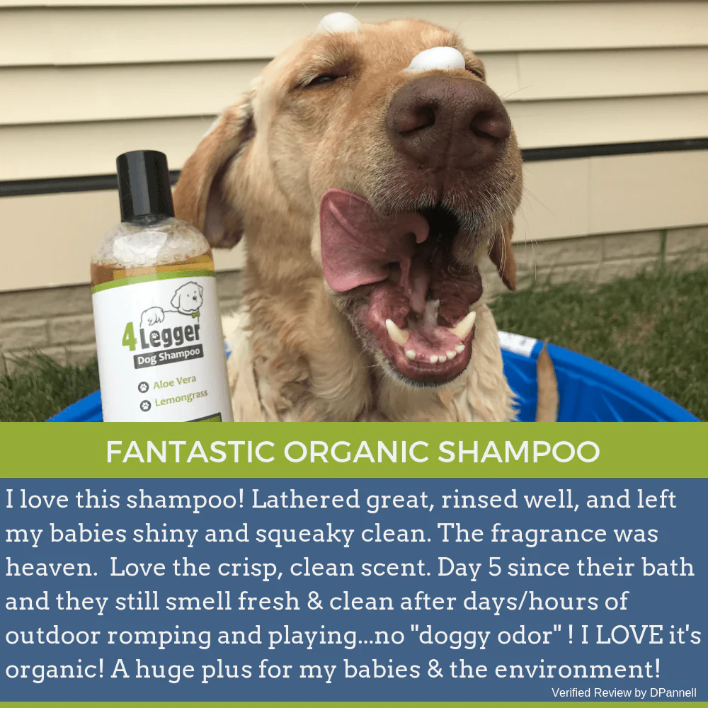 4Legger Lemongrass and Aloe Hypoallergenic Organic Food Standard Shampoo (16oz) | Dry, Dandruff Shampoo for Dogs and Cats