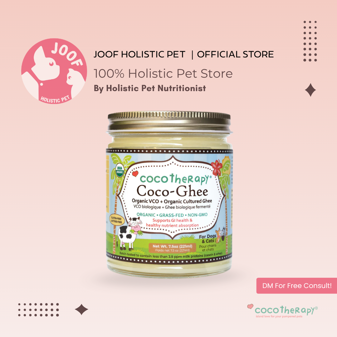 CocoTherapy Coco-Ghee Grass Fed Ghee (7.5oz) Gut Digestion Skin Constipation Support for Dogs Cats and Humans