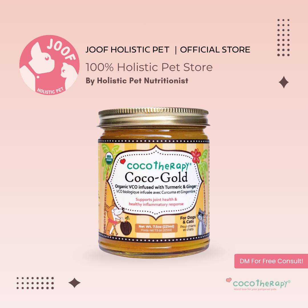 CocoTherapy Coco-Gold Turmeric Paste (7.5oz) Joint Anti Inflammatory Antioxidant Support for Dogs Cats and Humans