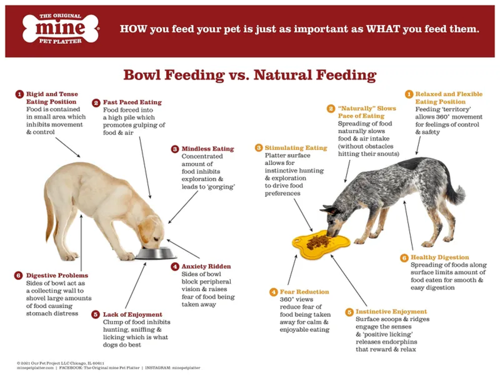 Mine Pet Platter - Bone Platter | Feeding Plate, Lick Mat, Anti-Bloat & Slow Feeding Mats, Bowls & Plate For Dogs & Cats