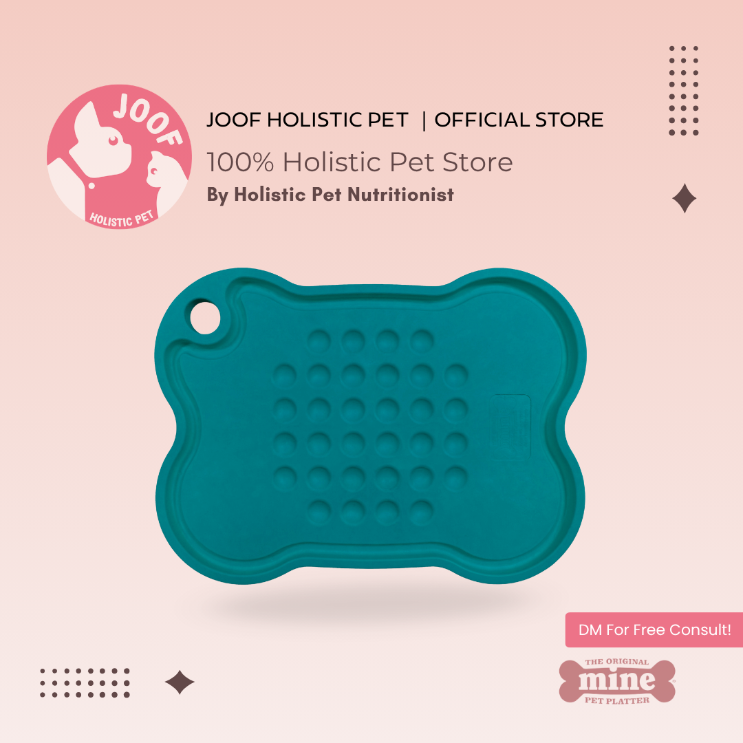 Mine Pet Platter Bone Plate (5 Colors) Slow Feeder Anti Bloat Stress Free Natural Feeding Support for Dogs and Cats