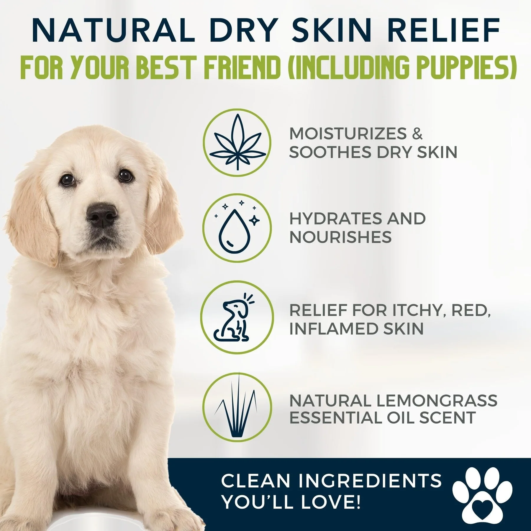 4Legger Moisturize, Lemongrass Hypoallergenic USDA Certified Organic Shampoo (8oz) | Dry, Dandruff Shampoo for Dogs and Cats