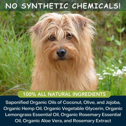 4Legger Moisturize, Lemongrass Hypoallergenic USDA Certified Organic Shampoo (8oz) | Dry, Dandruff Shampoo for Dogs and Cats